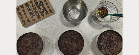 Tastes Like What? Our Take on Coffee Flavor Notes