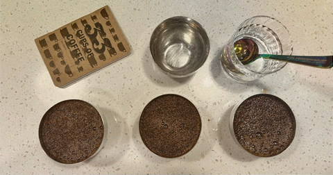 Tastes Like What? Our Take on Coffee Flavor Notes