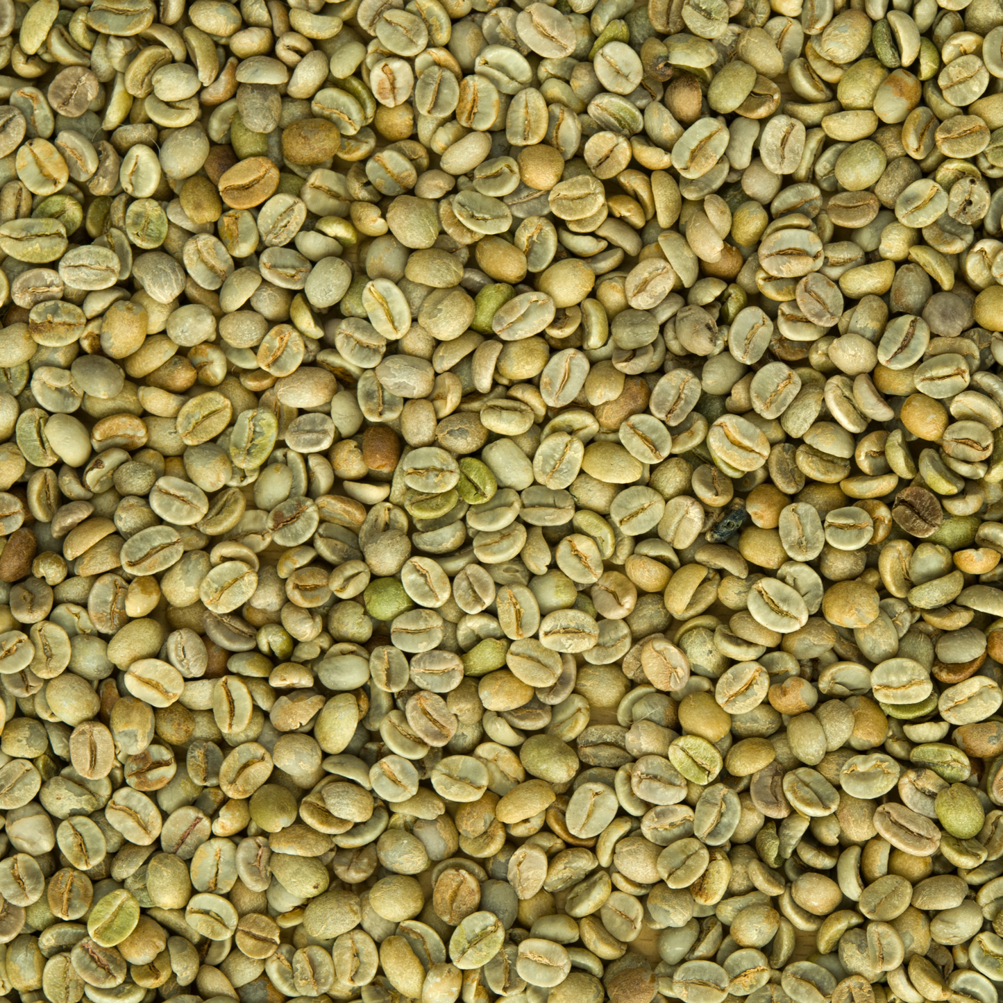 Green Coffee - Honduras (organic)